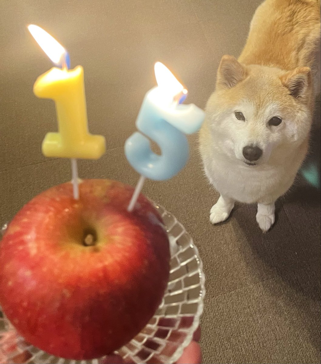 satosanpo tweet media