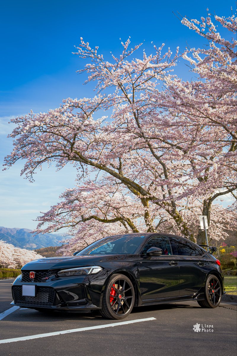 リンパ tweet media