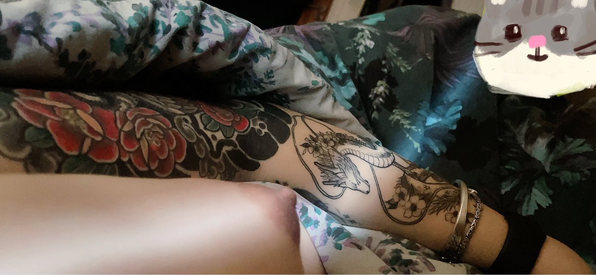 雲雀Alouette tweet media