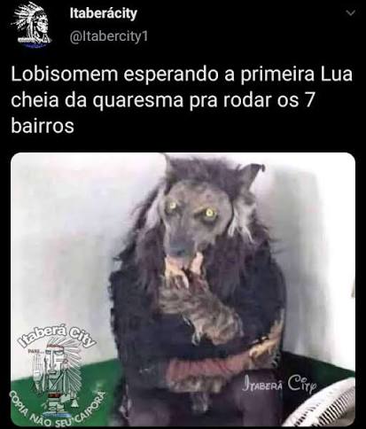 LOBINHO_PRIME tweet media