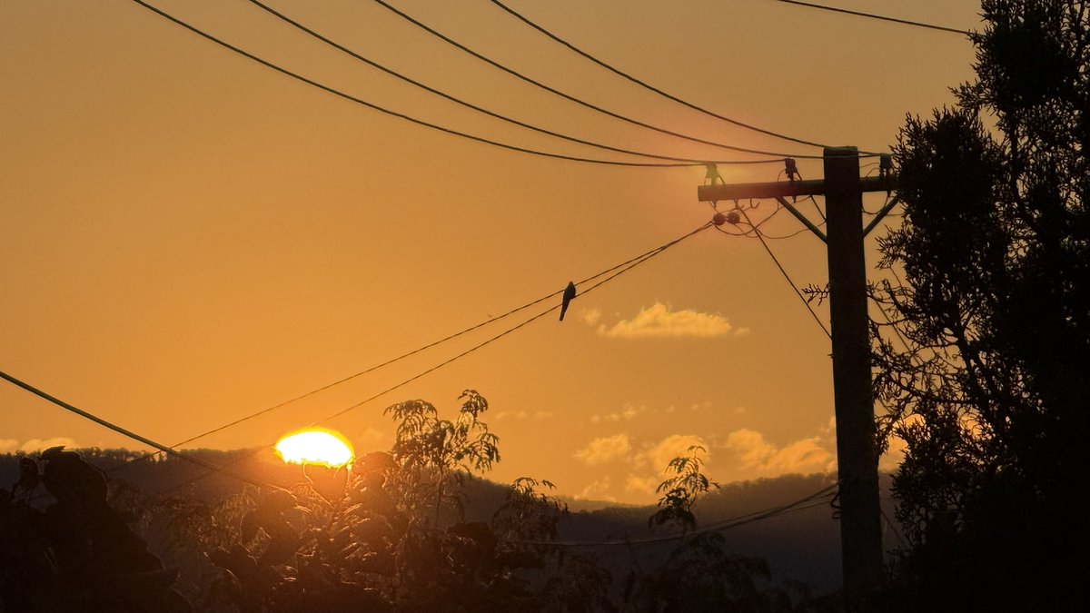 wapple15's tweet image. Good night from #Canberra 😴