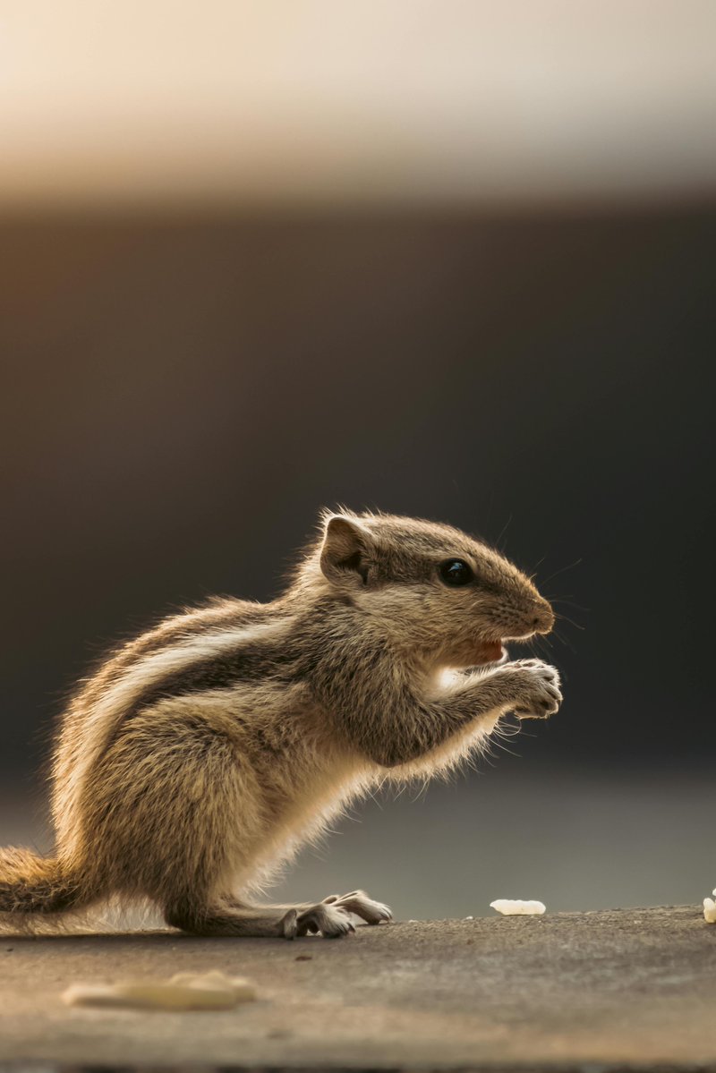 Tyne Cena tweet media