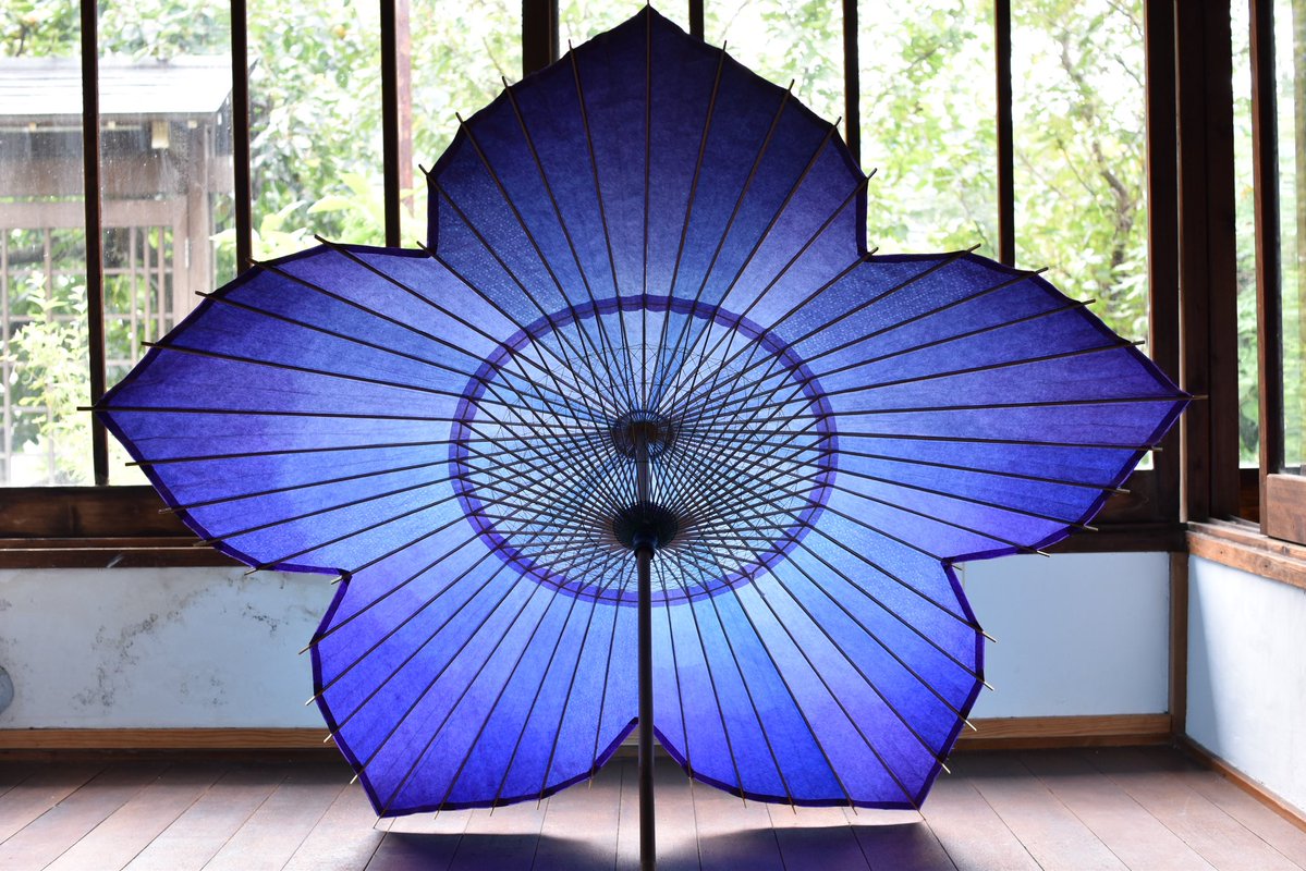 仐日和 (岐阜和傘) tweet media