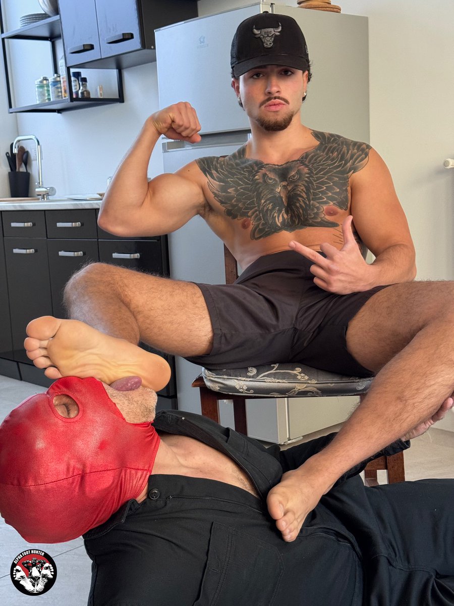 Master Stallion 👑 tweet media