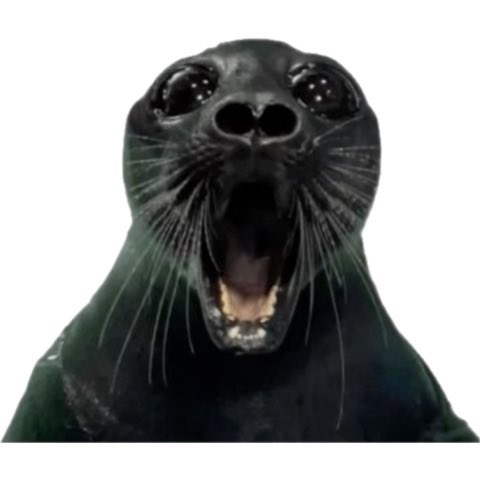 ☀️ apollo tweet media