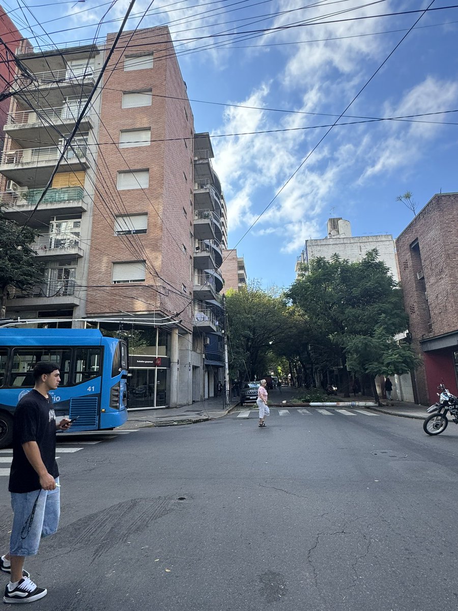 Fernanda Gigliani tweet media