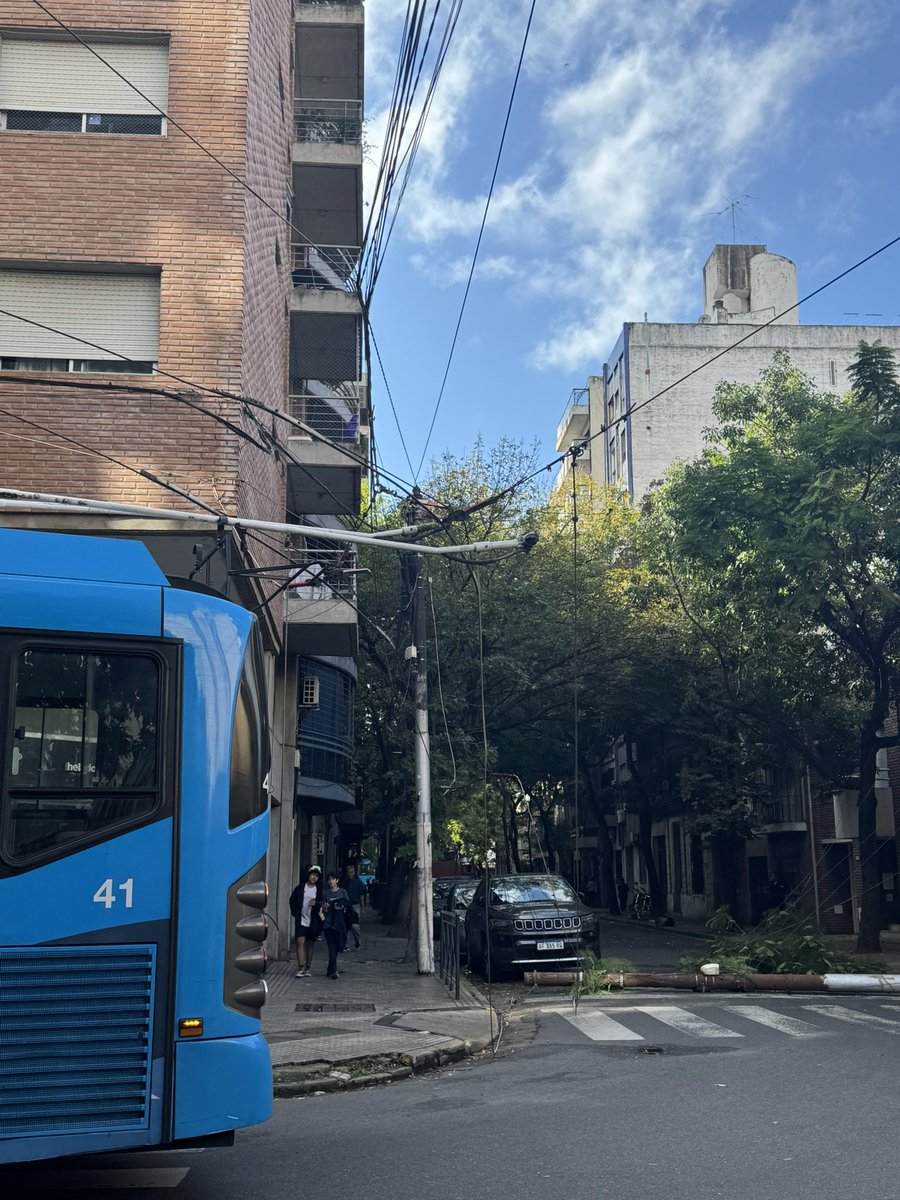 Fernanda Gigliani tweet media