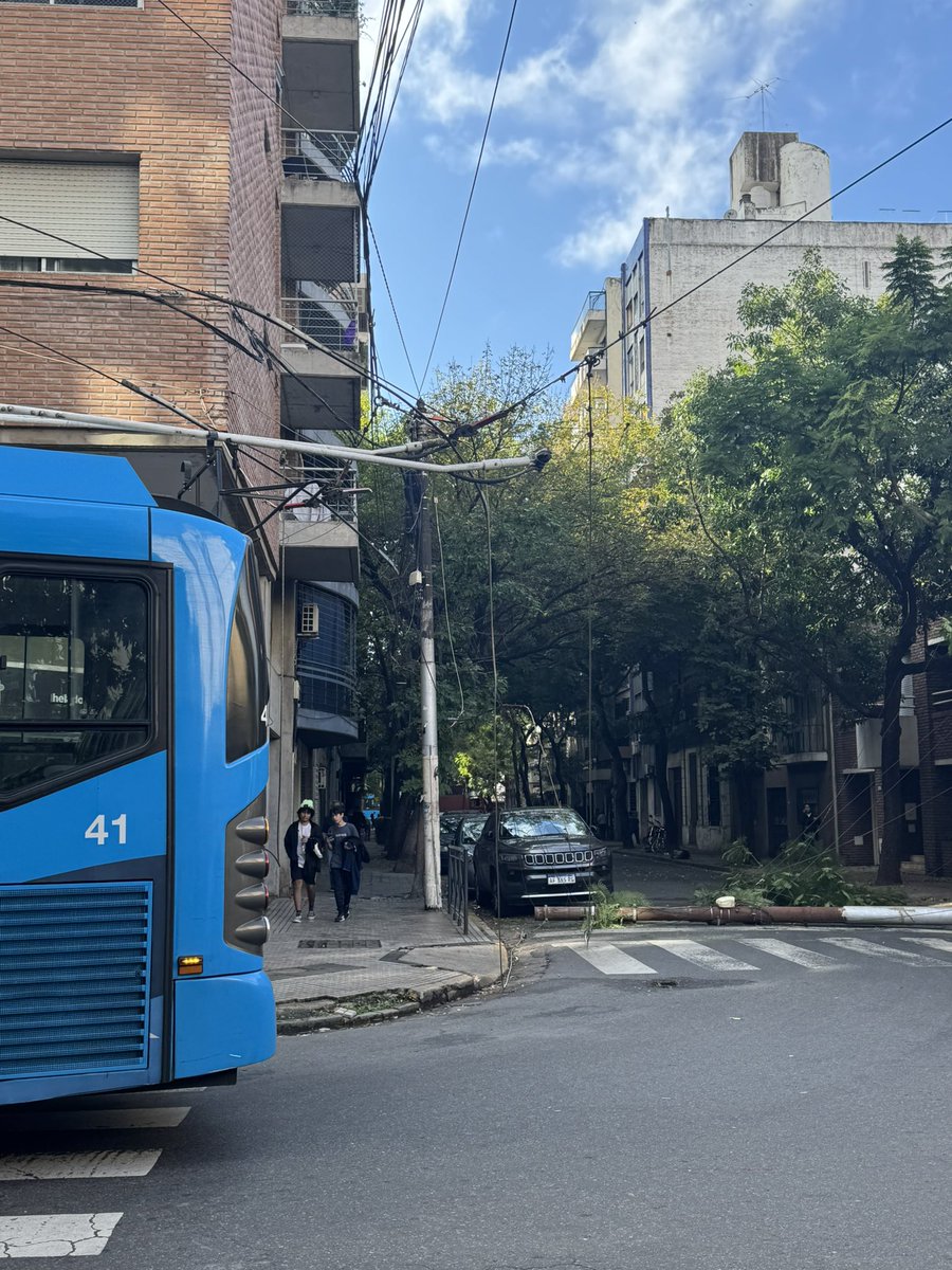 Fernanda Gigliani tweet media