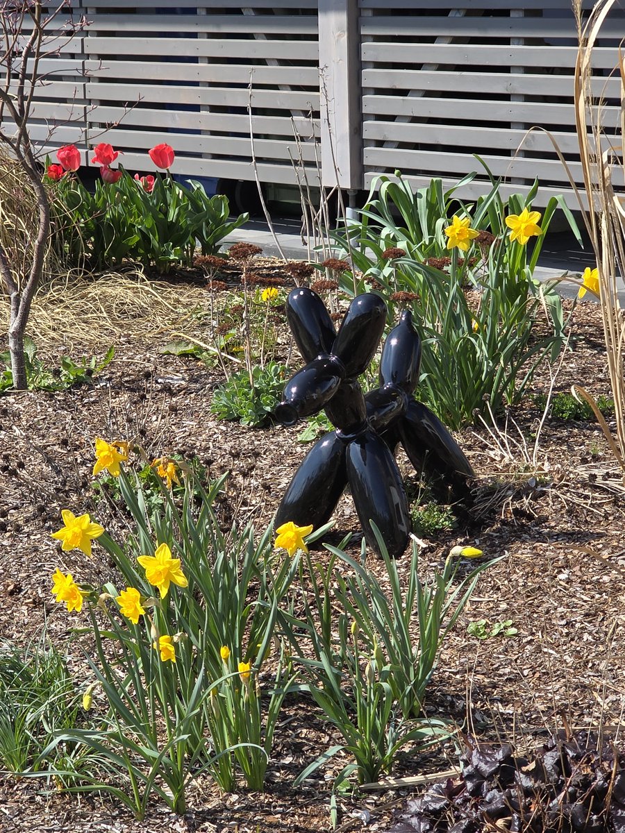 Stephan Luering 🇩🇪 tweet media