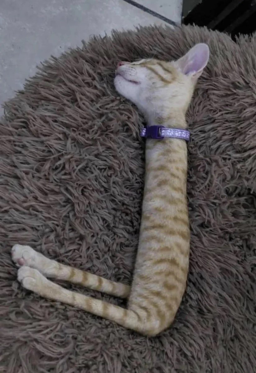 ATSUoVER tweet media