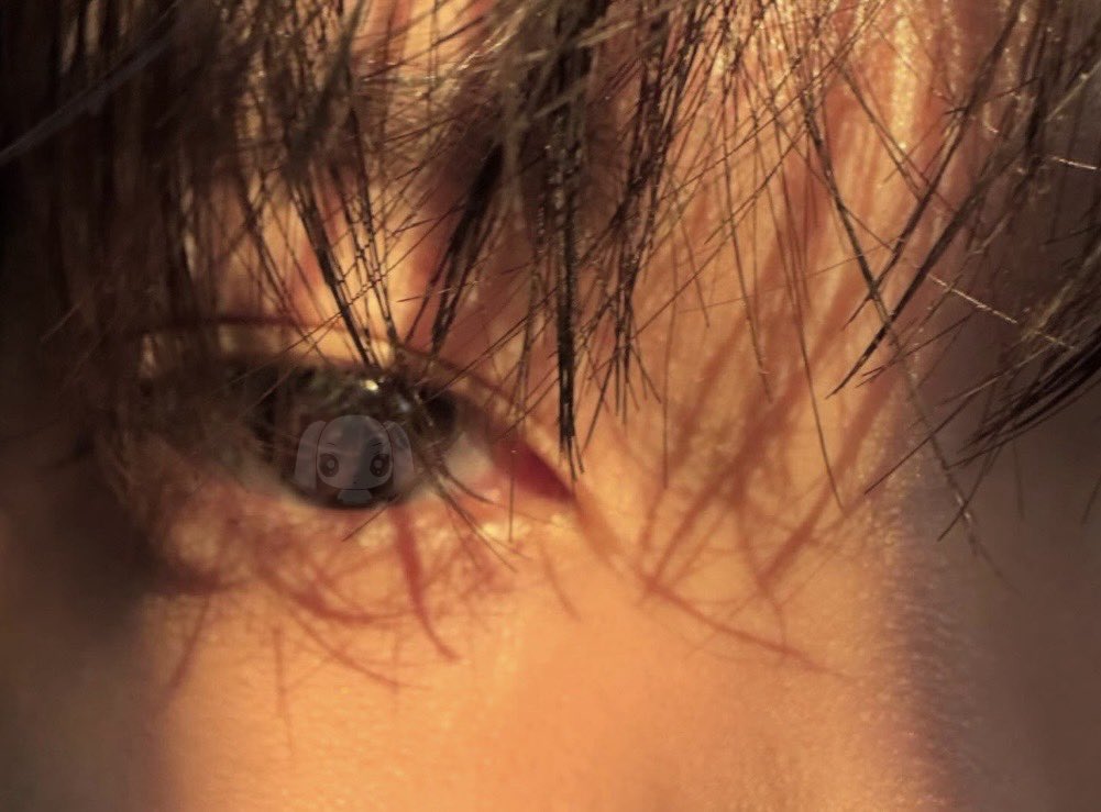 귀여운 리부부 tweet media