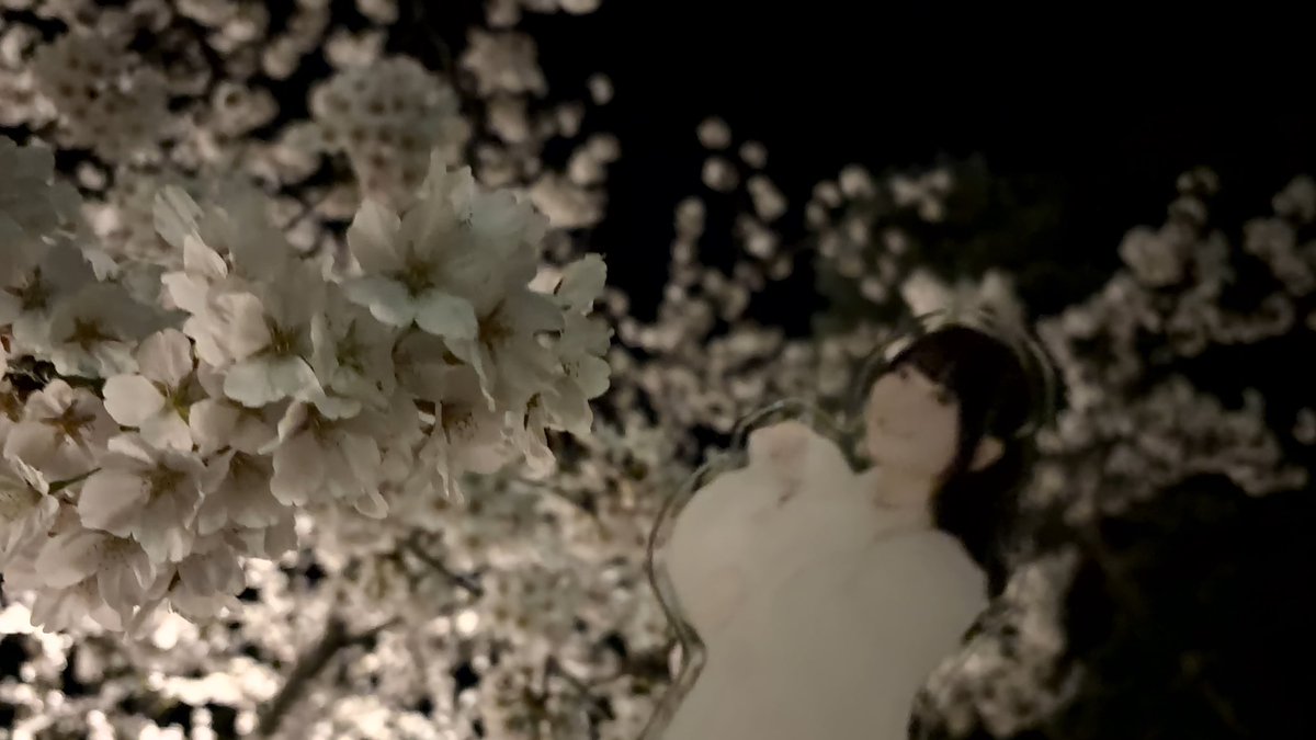 OGI'オギ'@🌱🪴 tweet media