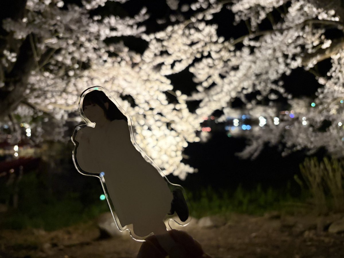 OGI'オギ'@🌱🪴 tweet media