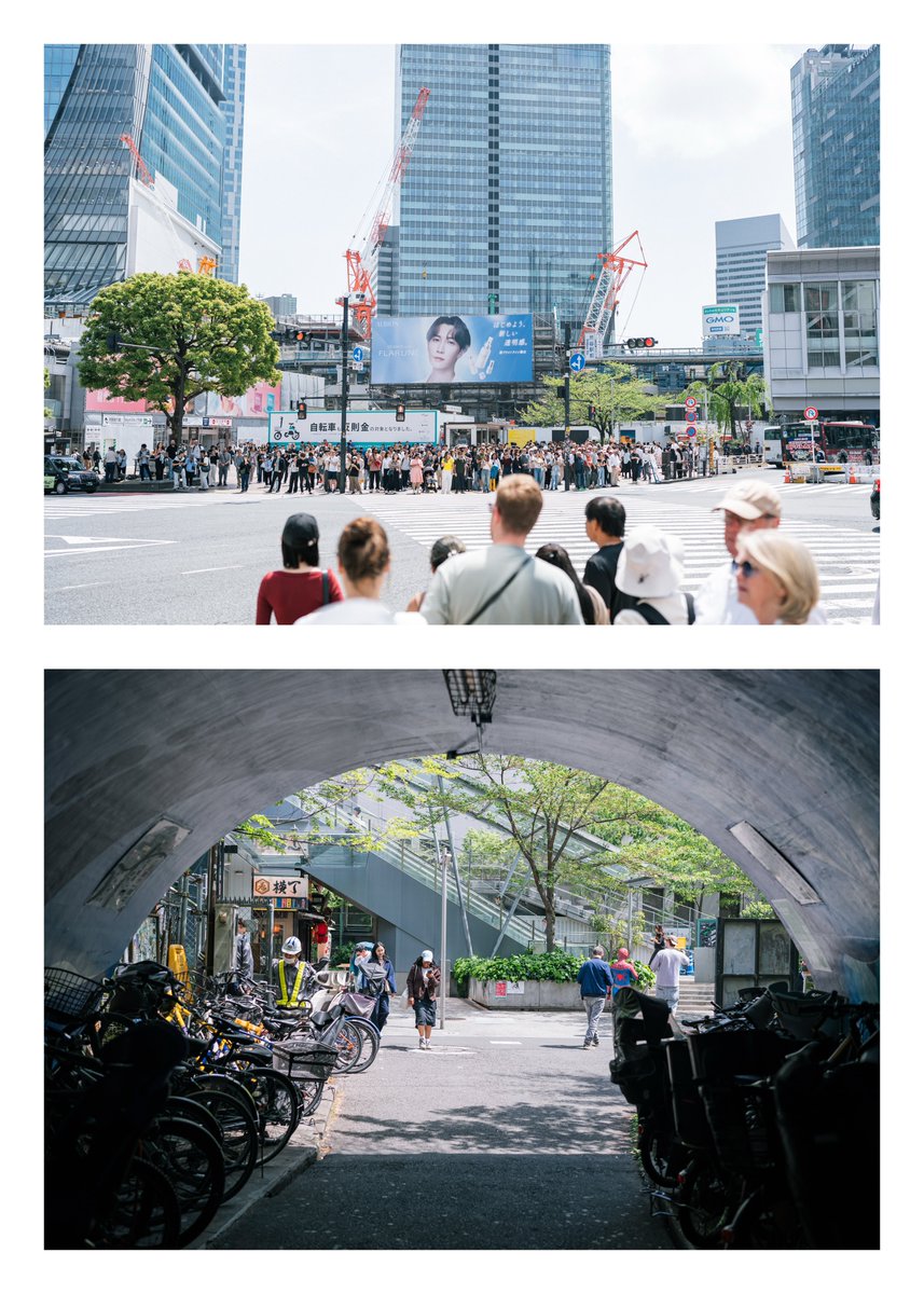 たける / Takeru Shimazawa tweet media