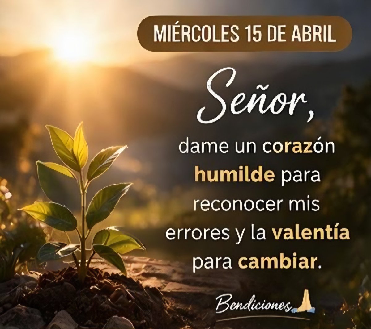 Beltran Rafael Gil tweet media