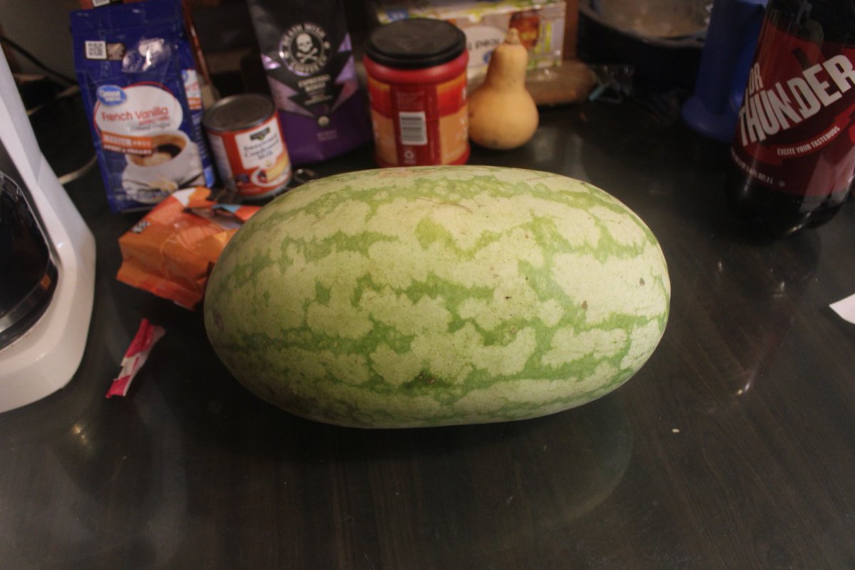 docsanderson's tweet image. #Scientists #Botany #Laboratory #Experiment #Food
@NatGeo @danpeckwx @Ginger_Zee @Nature
Lizzie Mags G decayed watermelon showed some germination. but far more conversion to a rich loam soil. remaining watermelon is Store condition nopreservatives after 6 months. How?? Mwah Lelon