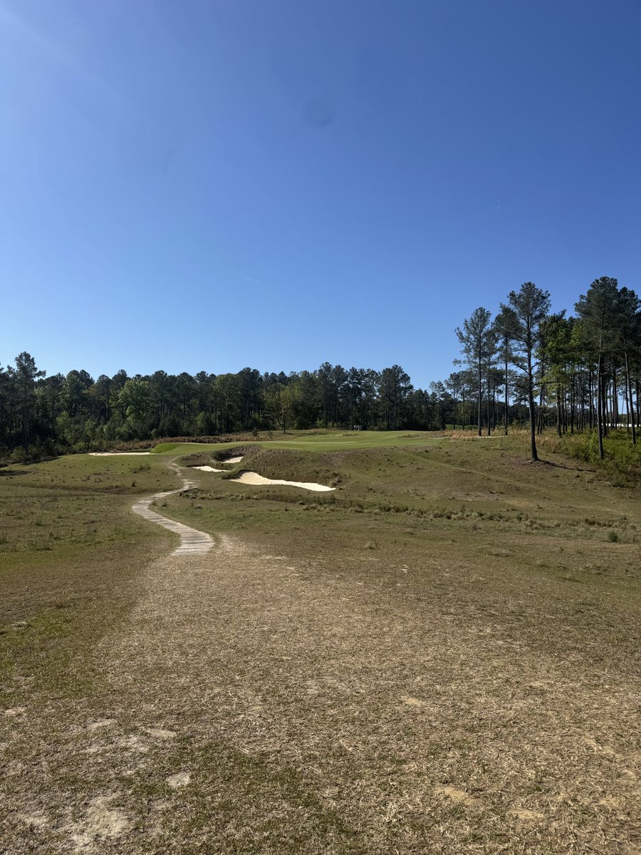 SammyVla's tweet photo. Great weekend hitting the links in SC. Some amazing golf and even better hospitality @Old_Barnwell @BroomsedgeGolf and Tree Farm. Can’t wait to get back. 🦉 🧹 🌲 https://t.co/z9irmRFaP8