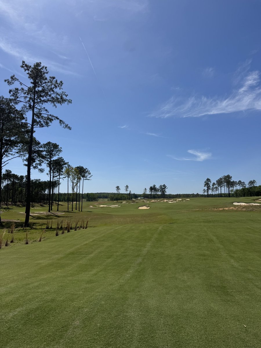 SammyVla's tweet photo. Great weekend hitting the links in SC. Some amazing golf and even better hospitality @Old_Barnwell @BroomsedgeGolf and Tree Farm. Can’t wait to get back. 🦉 🧹 🌲 https://t.co/z9irmRFaP8