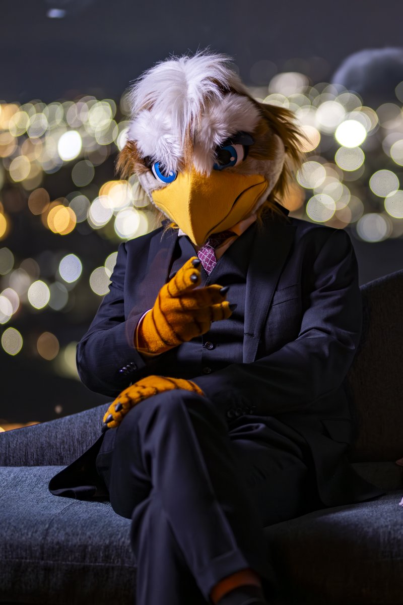 ハム Ham🔜関西けもケット tweet media