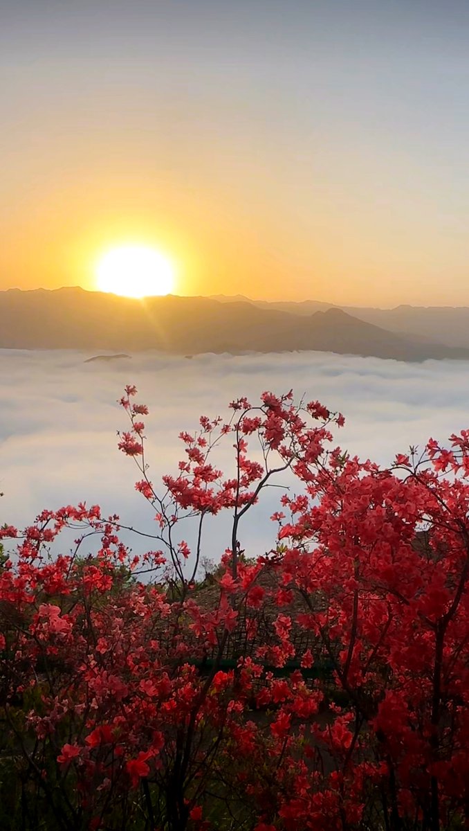 Nick Bowman tweet media