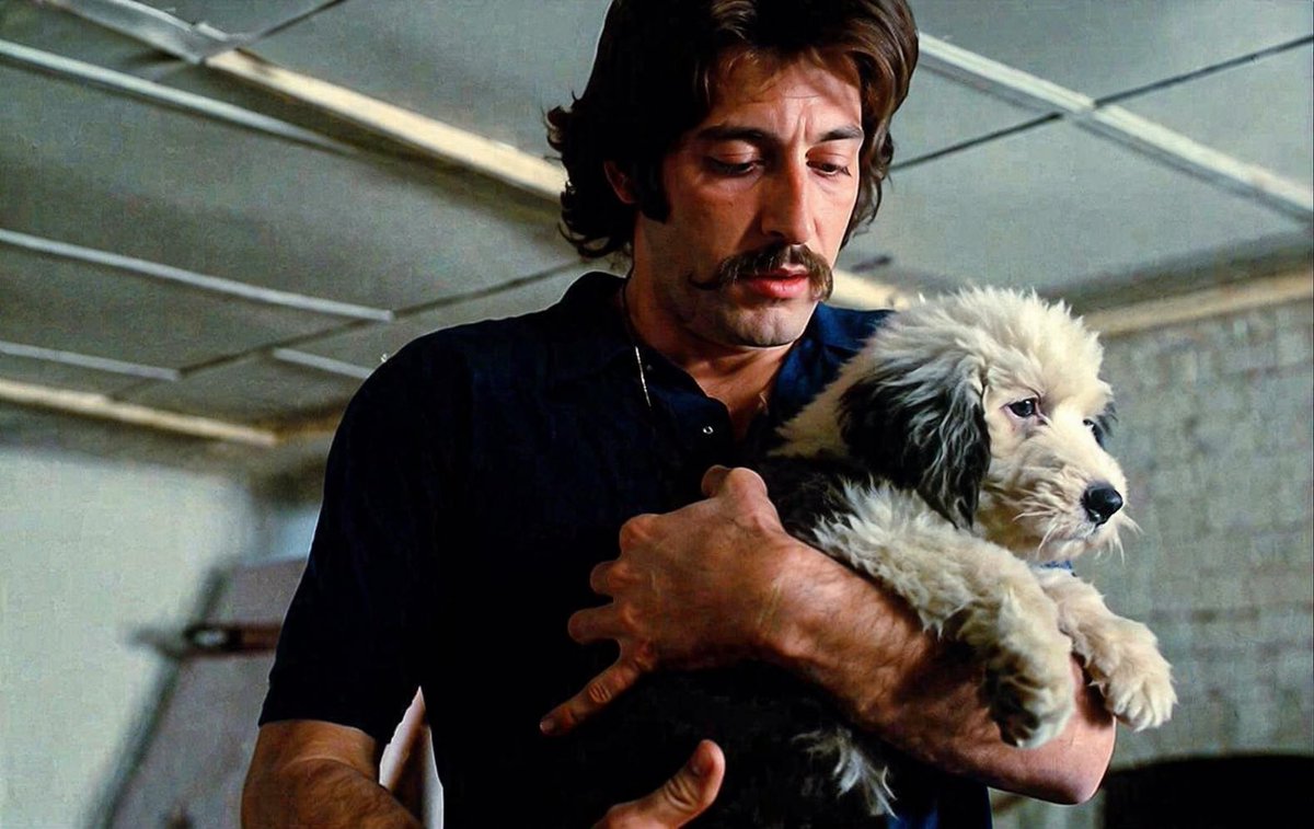 Starivara tweet media