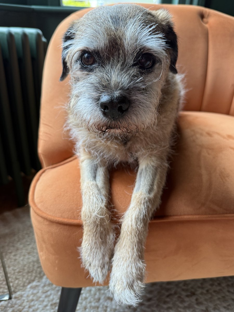 Tobi LeRone tweet media