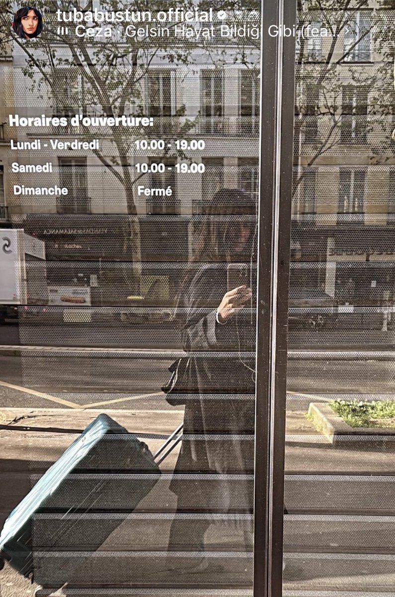 cheryl frank 🇺🇸 tweet media