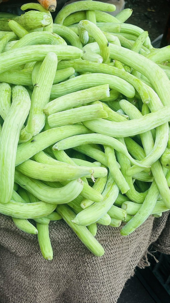 Monica Sharma tweet media