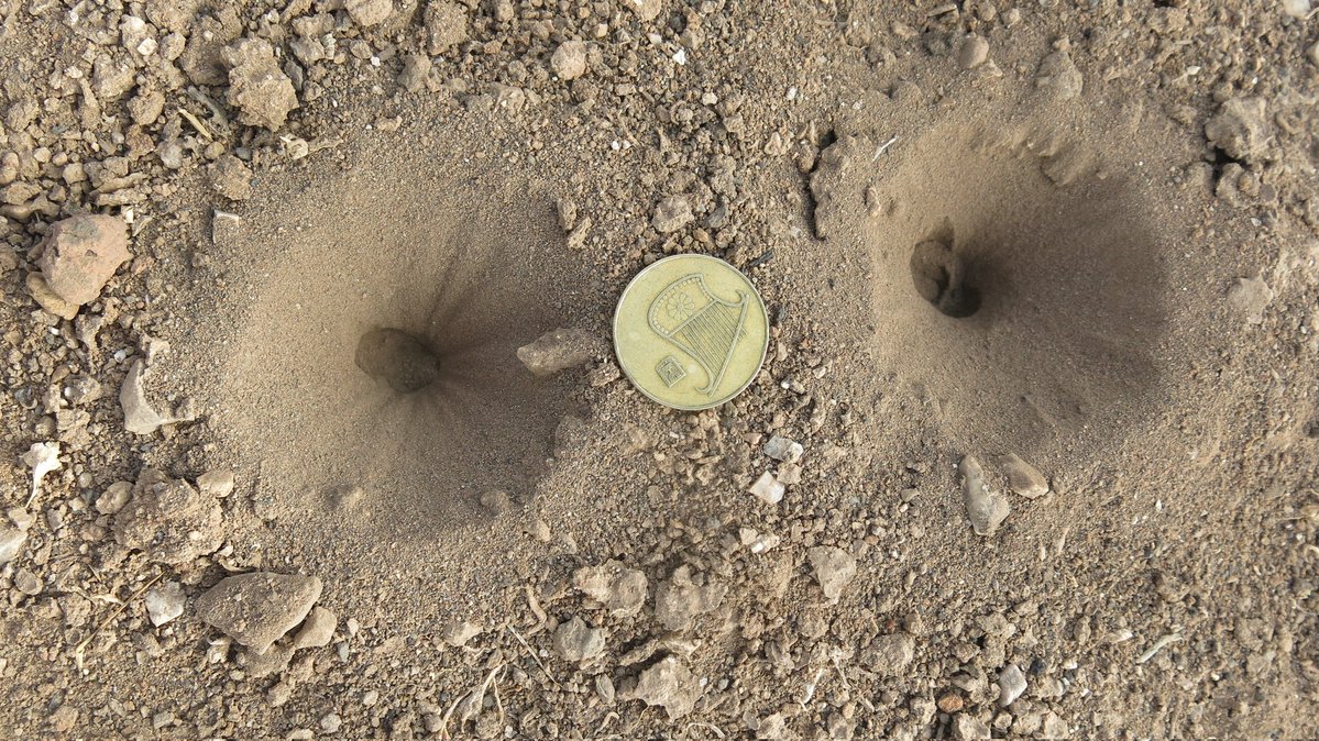 מדע גדול, בקטנה tweet media