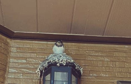 mai asakawa@ ｻﾝﾘﾐｯﾄの役者・制作 tweet media