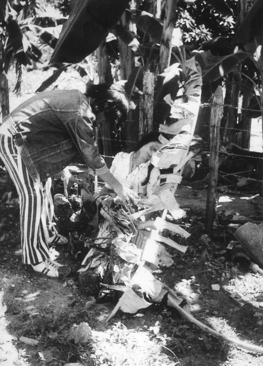 Cinelimite tweet media