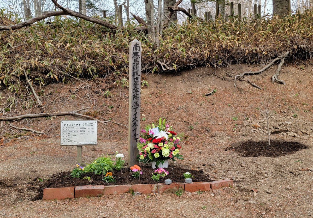 浦河渡辺牧場 tweet media