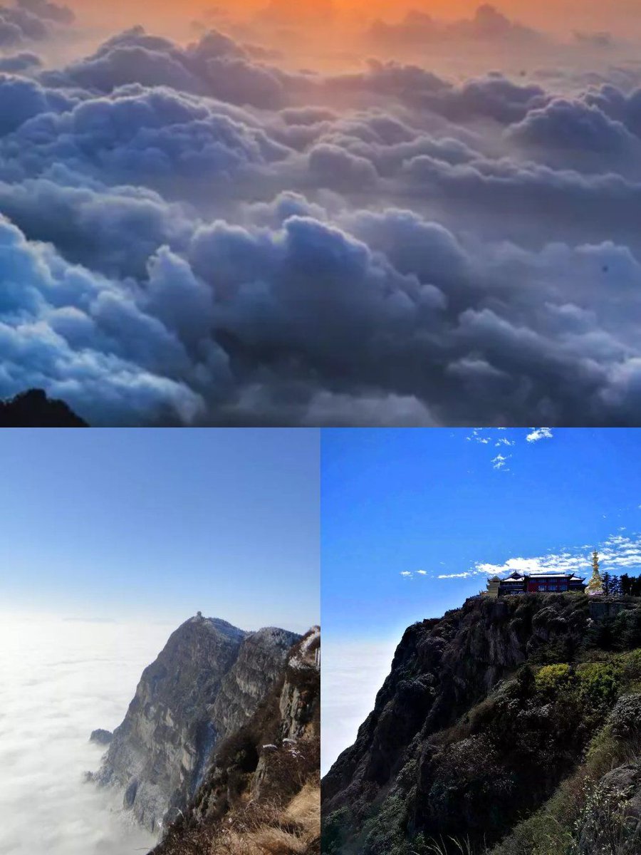 Anson Whitton tweet media