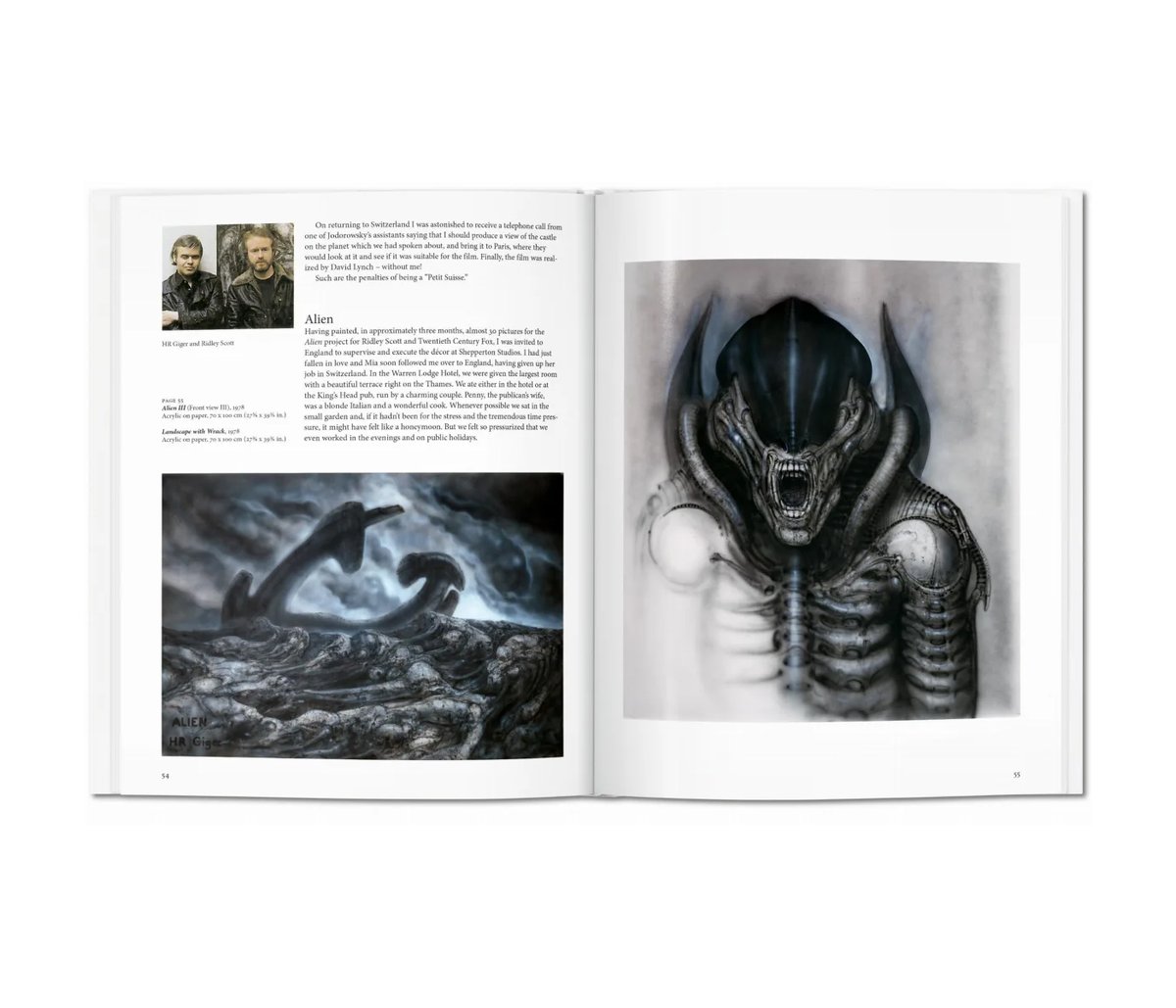 豆魚雷 tweet media