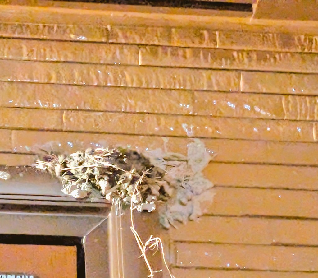 mai asakawa@ ｻﾝﾘﾐｯﾄの役者・制作 tweet media