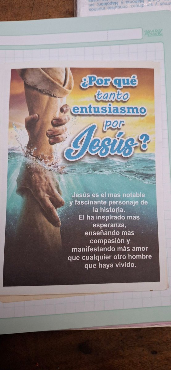 shanoon beatriz Palacios barron tweet media