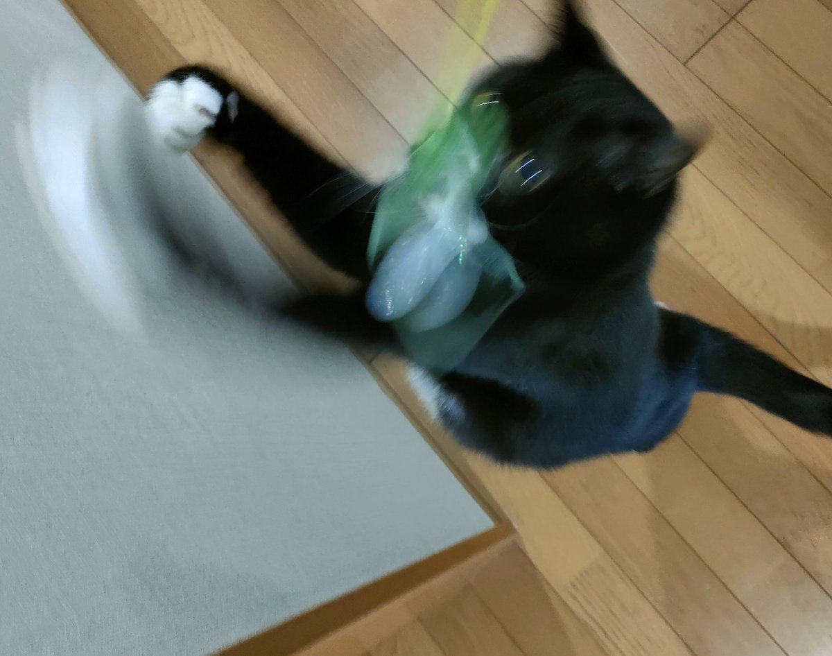 ふたみ tweet media