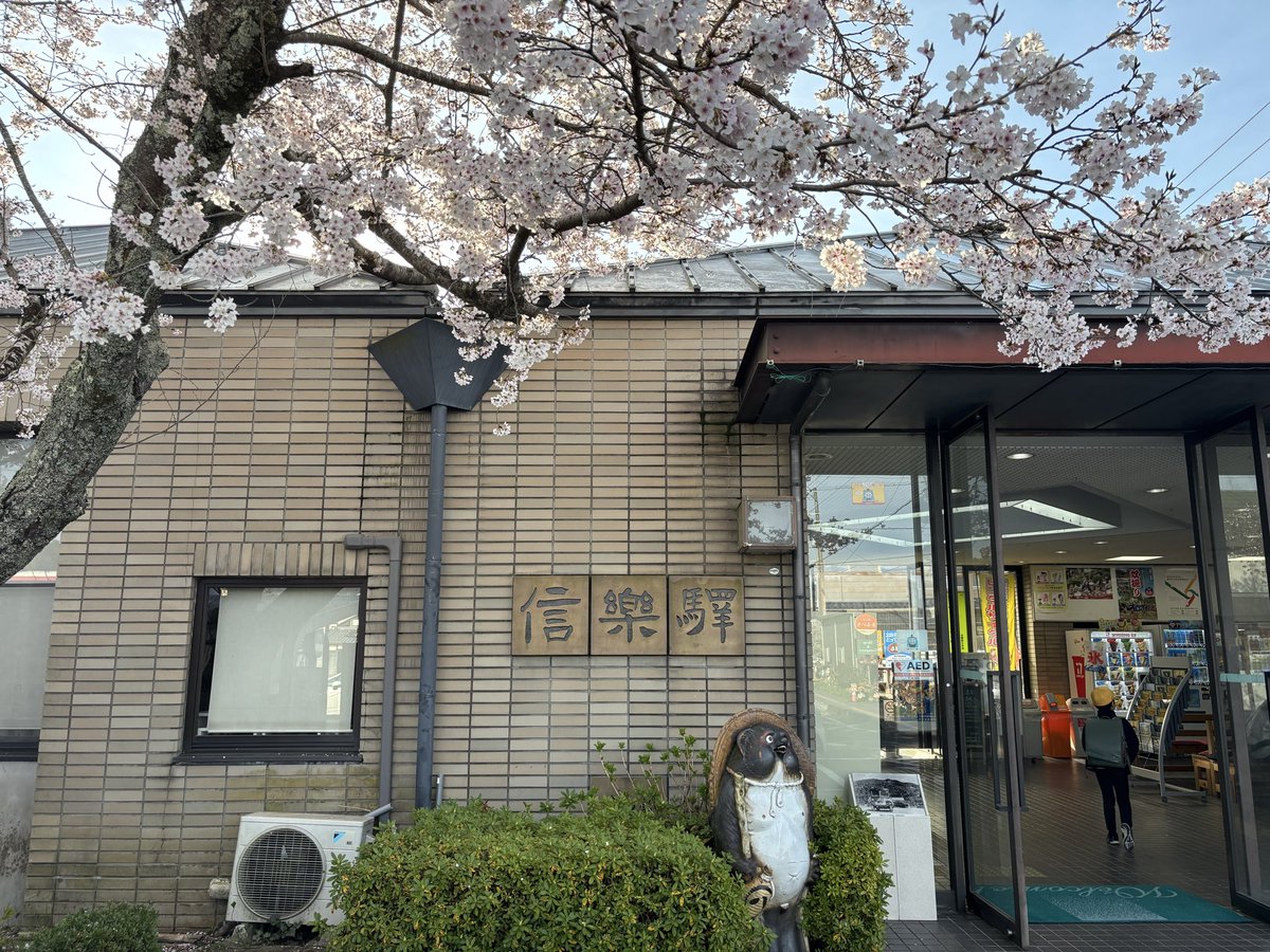 remotetsu's tweet photo. 信楽駅の桜🌸
信楽高原鐵道で訪れた、先週の記録です。

#信楽駅 #桜 #信楽高原鐵道 #リモ鉄 https://t.co/tF0SPJaSO2