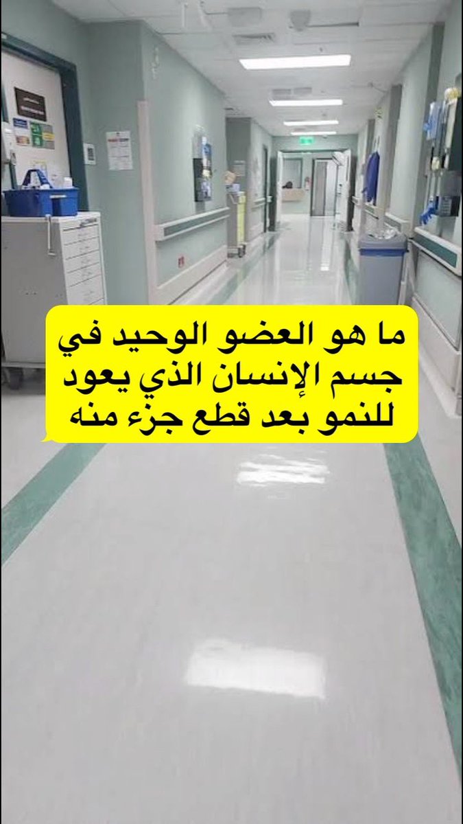 𝚂𝙰𝙻𝙴𝙷 tweet media