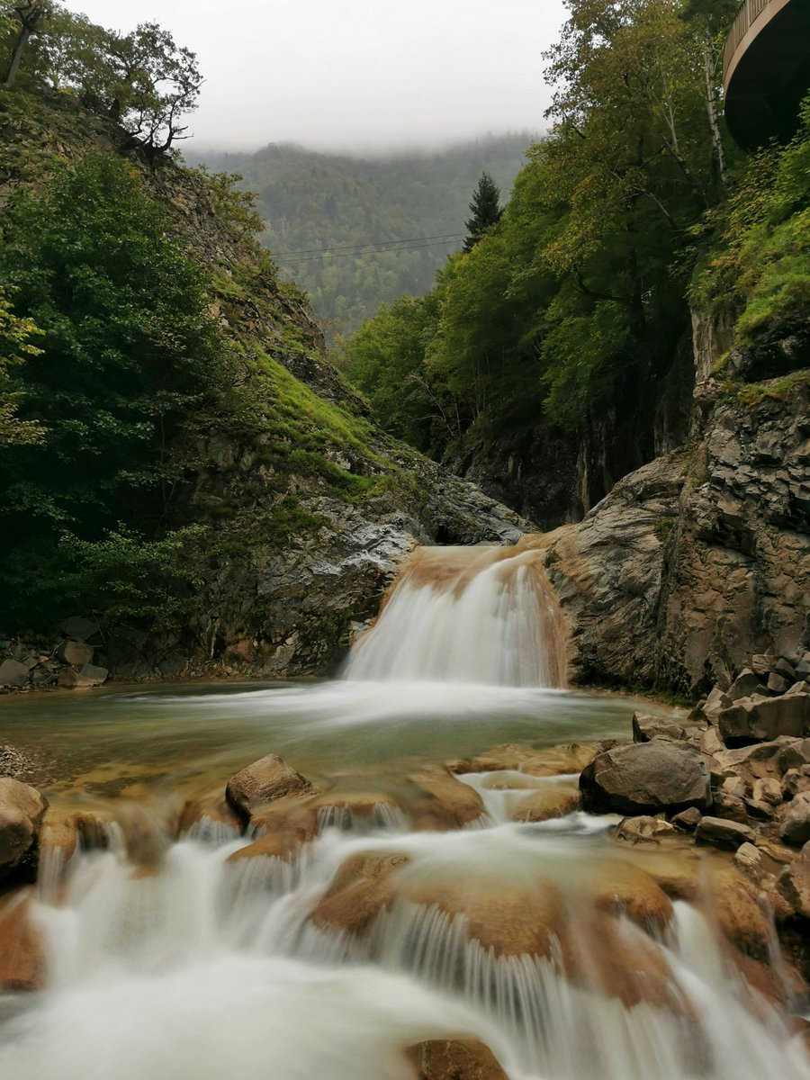 kyunghea kim tweet media