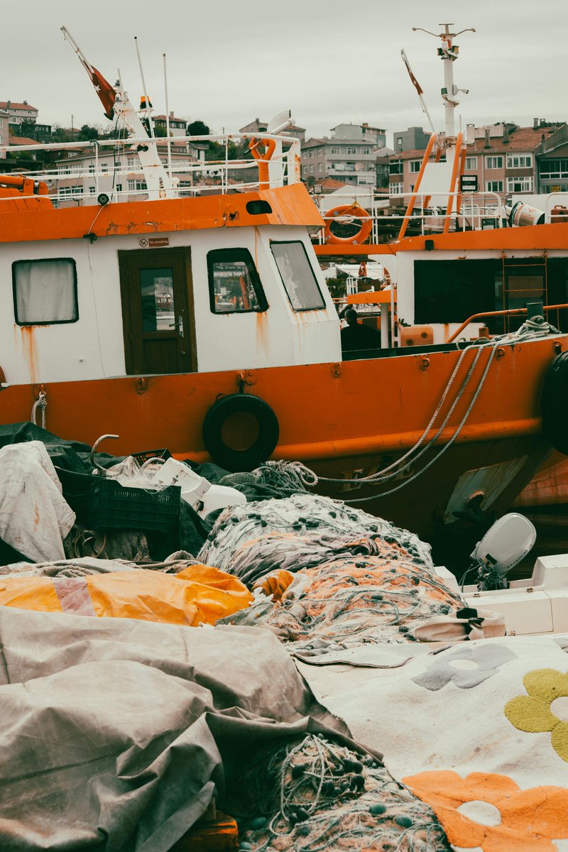 kyunghea kim tweet media