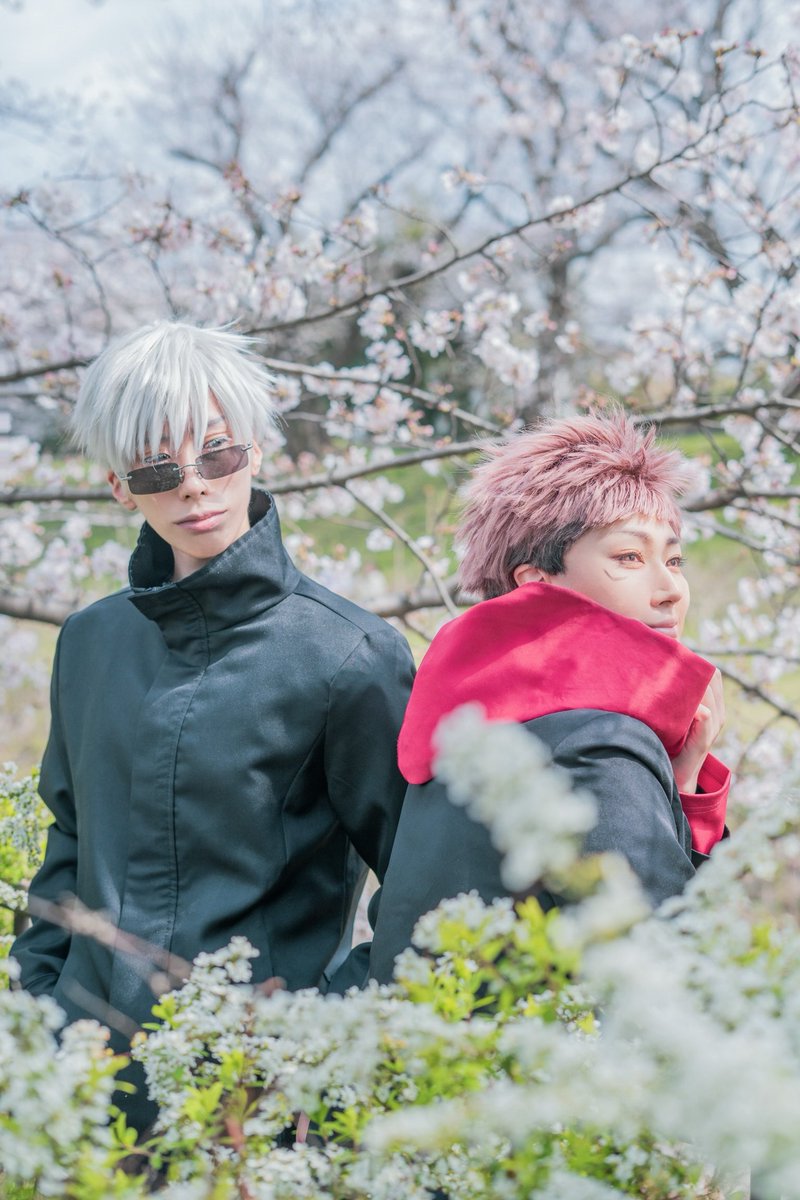 すもも。 tweet media