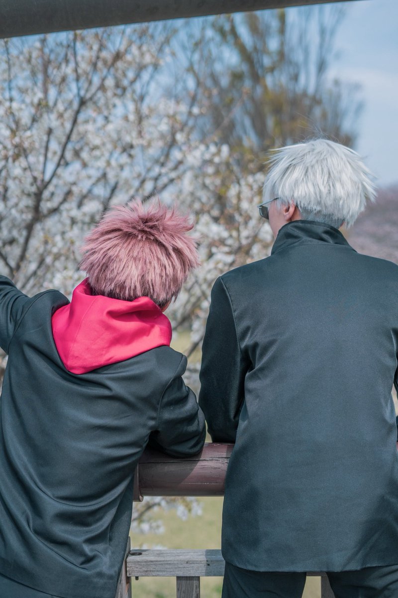 すもも。 tweet media