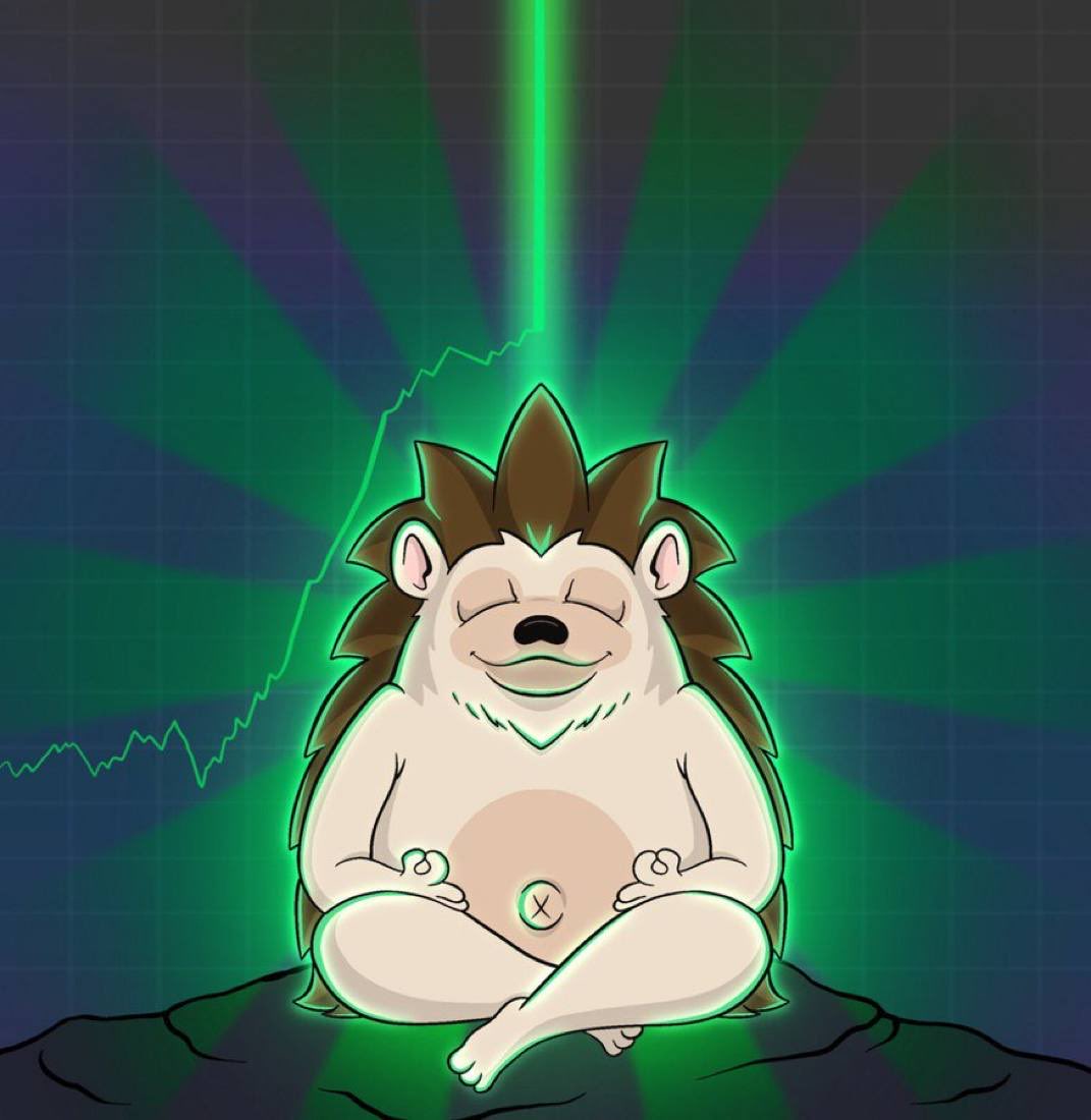 Mr.Erizooo 🦔🇮🇷 tweet media