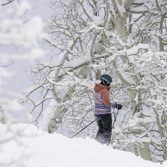 Beaver Mountain tweet media