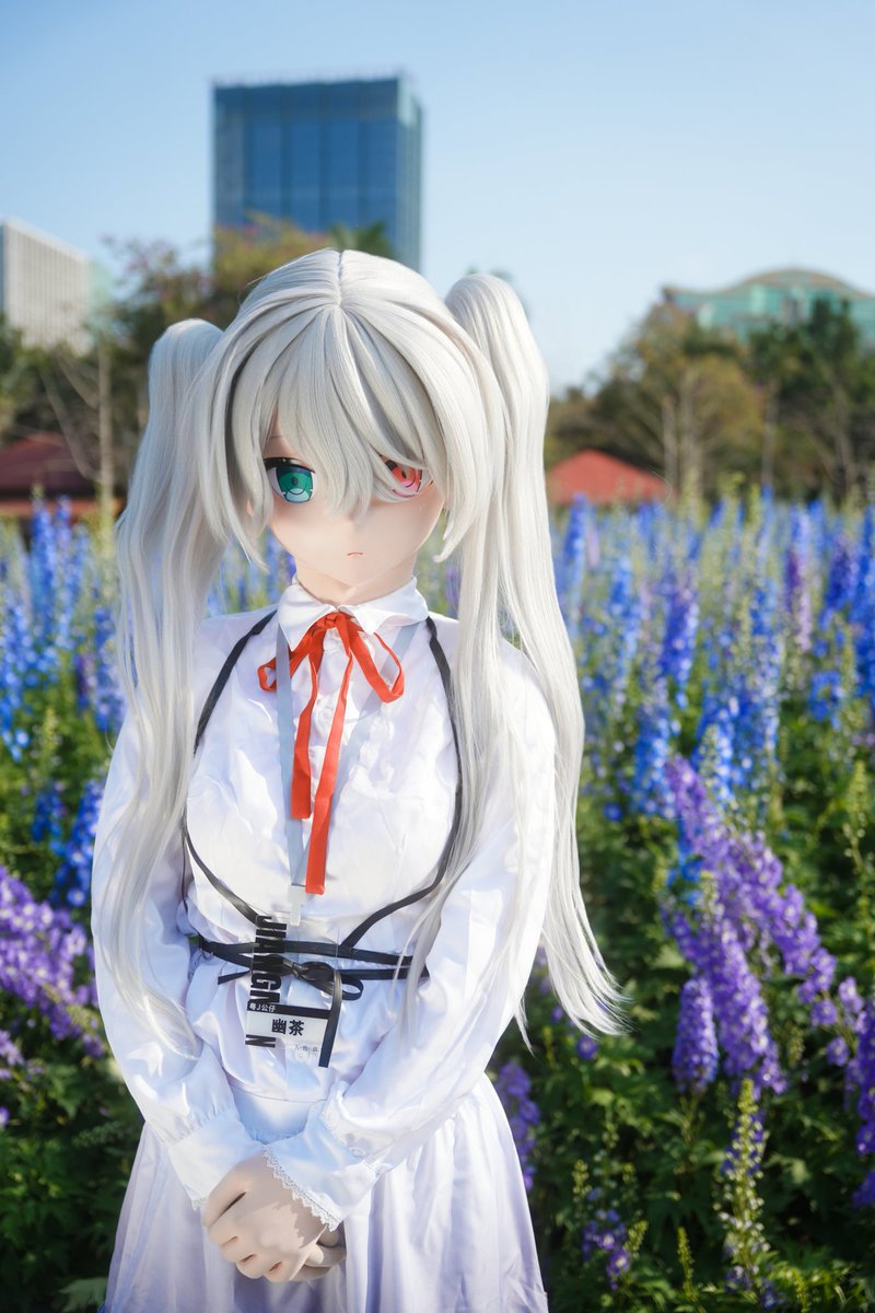 幽茶 tweet media