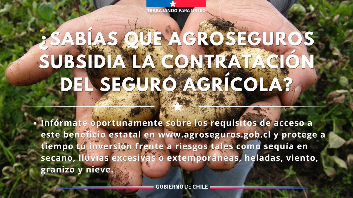 Agroseguros Chile tweet media