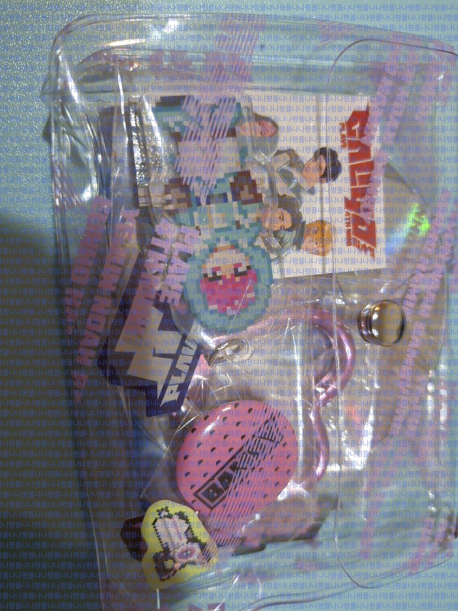 나나 평플 쿼카2 tweet media