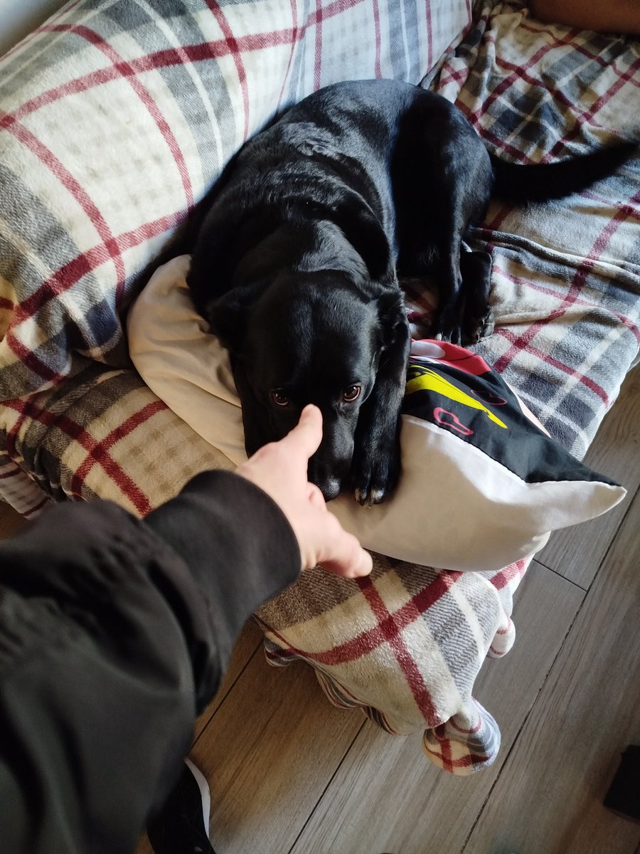 K'ɾɾιƙ 🇵🇸 tweet media