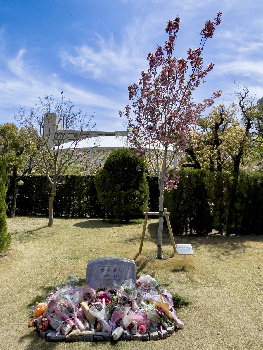 やすてぃ🍥 tweet media